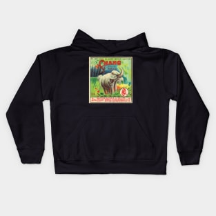 VINTAGE FIRECRACKER CHANG Kids Hoodie